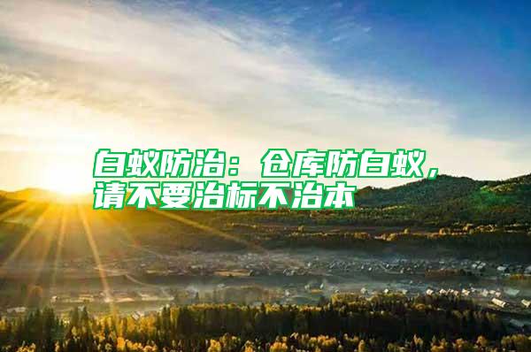白蟻防治：倉庫防白蟻，請不要治標不治本