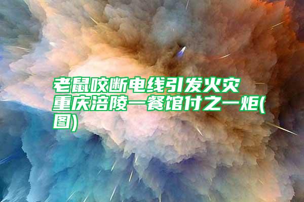老鼠咬斷電線引發(fā)火災(zāi) 重慶涪陵一餐館付之一炬(圖)