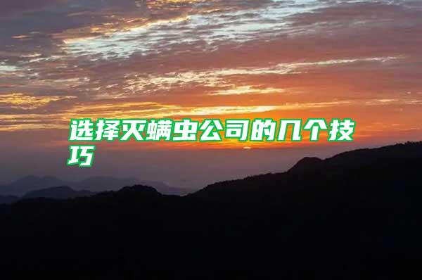 選擇滅螨蟲公司的幾個技巧