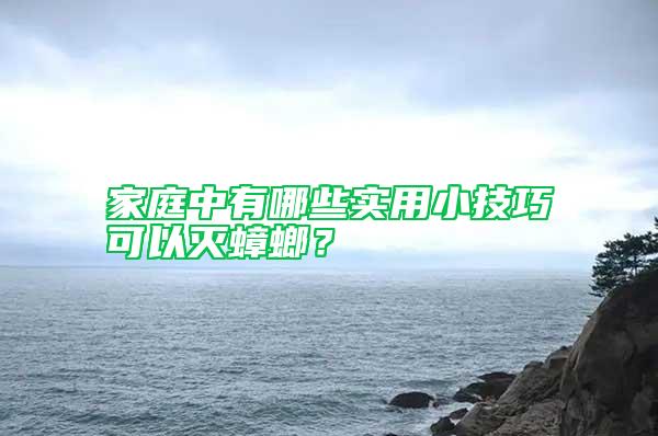 家庭中有哪些實(shí)用小技巧可以滅蟑螂？