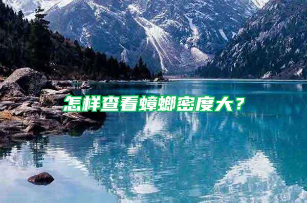 怎樣查看蟑螂密度大？