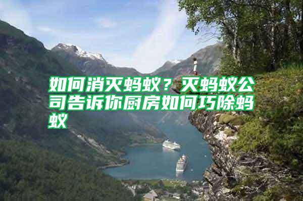 如何消滅螞蟻？滅螞蟻公司告訴你廚房如何巧除螞蟻