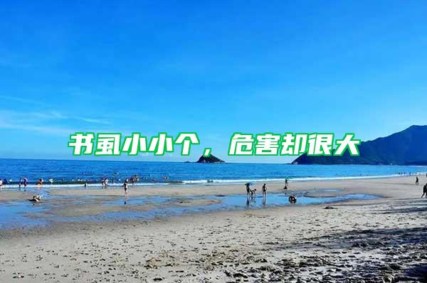 書虱小小個，危害卻很大