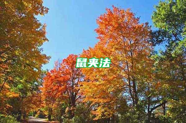 鼠夾法