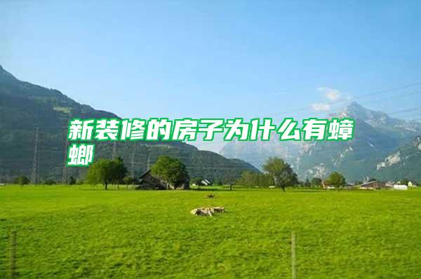 新裝修的房子為什么有蟑螂