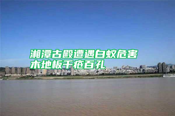 湘潭古殿遭遇白蟻危害 木地板千瘡百孔