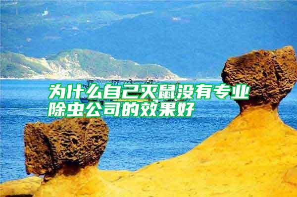 為什么自己滅鼠沒有專業(yè)除蟲公司的效果好