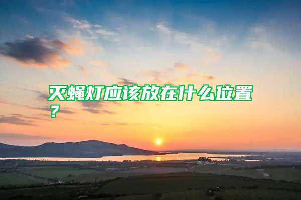 滅蠅燈應(yīng)該放在什么位置？