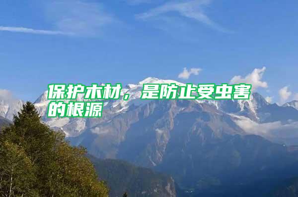 保護(hù)木材，是防止受蟲害的根源