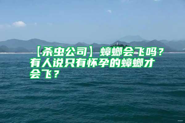 【殺蟲公司】蟑螂會飛嗎？有人說只有懷孕的蟑螂才會飛？