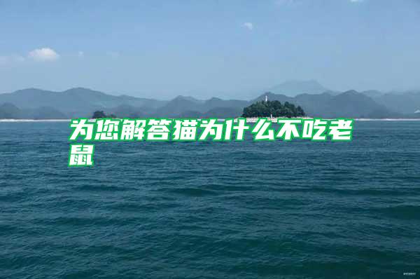為您解答貓為什么不吃老鼠