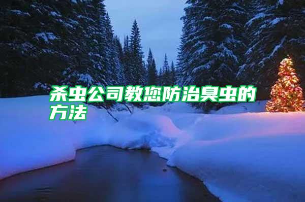 殺蟲公司教您防治臭蟲的方法