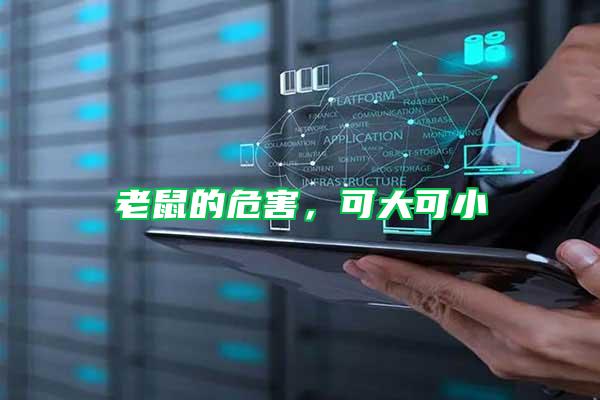 老鼠的危害，可大可小