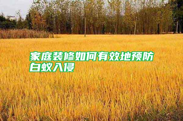 家庭裝修如何有效地預(yù)防白蟻入侵