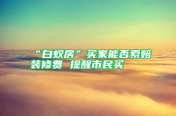 “白蟻房”買家能否索賠裝修費 提醒市民買