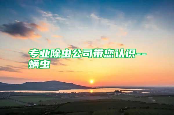 專業(yè)除蟲公司帶您認(rèn)識--螨蟲