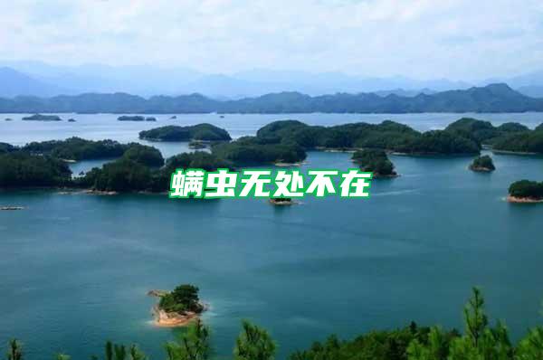 螨蟲無處不在