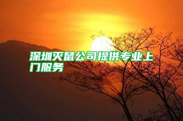 深圳滅鼠公司提供專業(yè)上門服務(wù)
