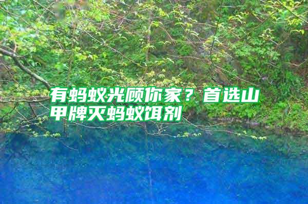 有螞蟻光顧你家？首選山甲牌滅螞蟻餌劑
