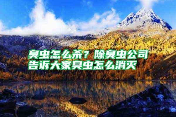 臭蟲怎么殺？除臭蟲公司告訴大家臭蟲怎么消滅