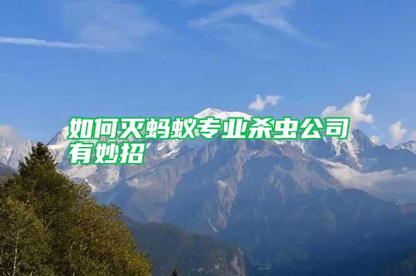 如何滅螞蟻專業(yè)殺蟲公司有妙招