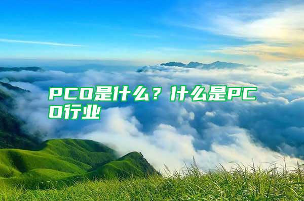 PCO是什么？什么是PCO行業(yè)