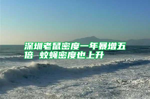 深圳老鼠密度一年暴增五倍 蚊蠅密度也上升