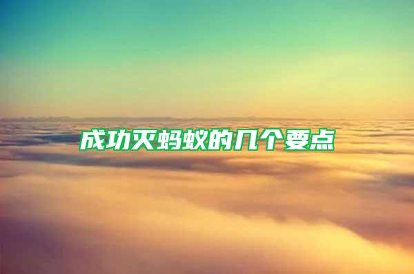 成功滅螞蟻的幾個要點