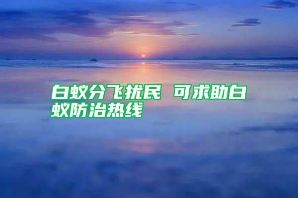 白蟻分飛擾民 可求助白蟻防治熱線