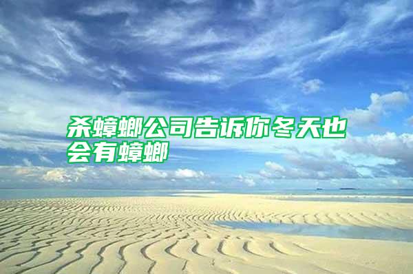 殺蟑螂公司告訴你冬天也會(huì)有蟑螂