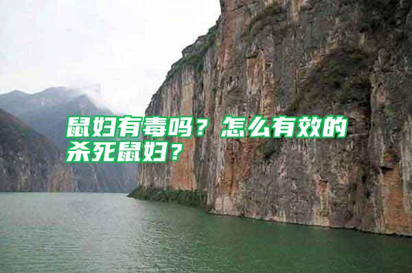 鼠婦有毒嗎？怎么有效的殺死鼠婦？