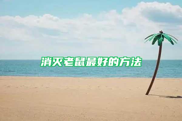 消滅老鼠最好的方法