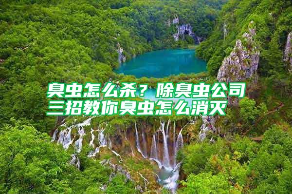臭蟲怎么殺？除臭蟲公司三招教你臭蟲怎么消滅