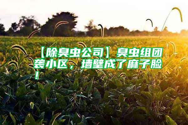 【除臭蟲公司】臭蟲組團(tuán)襲小區(qū)，墻壁成了麻子臉！