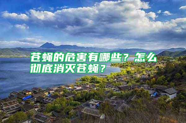 蒼蠅的危害有哪些？怎么徹底消滅蒼蠅？