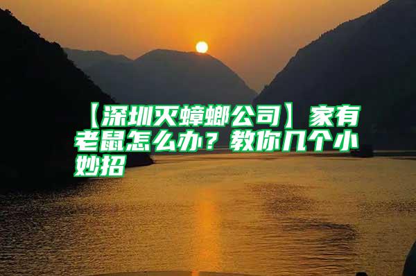 【深圳滅蟑螂公司】家有老鼠怎么辦？教你幾個小妙招