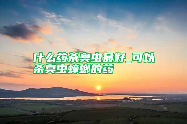 什么藥殺臭蟲最好_可以殺臭蟲蟑螂的藥
