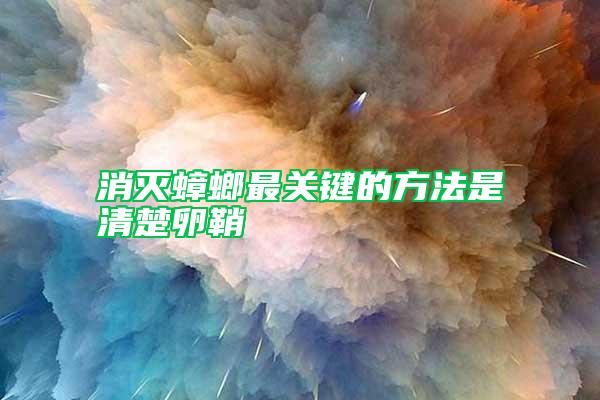 消滅蟑螂最關(guān)鍵的方法是清楚卵鞘