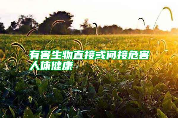 有害生物直接或間接危害人體健康