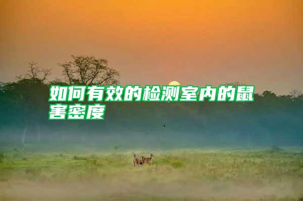 如何有效的檢測室內(nèi)的鼠害密度