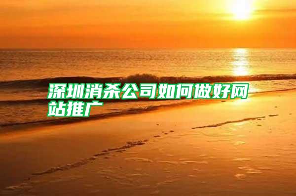 深圳消殺公司如何做好網(wǎng)站推廣