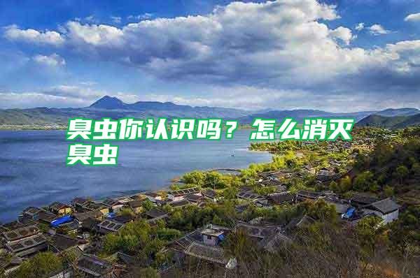 臭蟲你認識嗎？怎么消滅臭蟲
