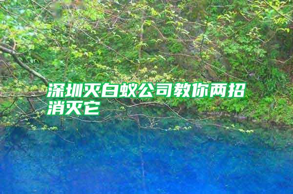 深圳滅白蟻公司教你兩招消滅它