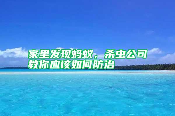 家里發(fā)現(xiàn)螞蟻，殺蟲公司教你應(yīng)該如何防治