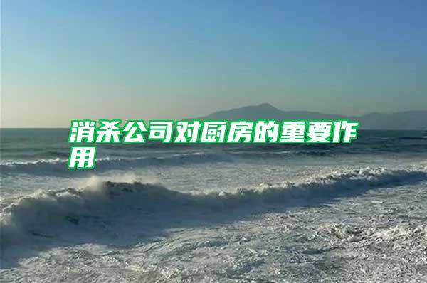 消殺公司對廚房的重要作用
