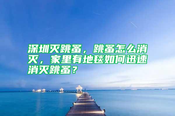 深圳滅跳蚤，跳蚤怎么消滅，家里有地毯如何迅速消滅跳蚤？