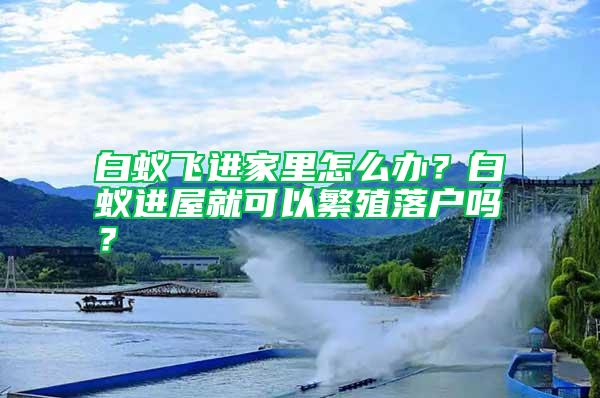 白蟻飛進(jìn)家里怎么辦？白蟻進(jìn)屋就可以繁殖落戶嗎？
