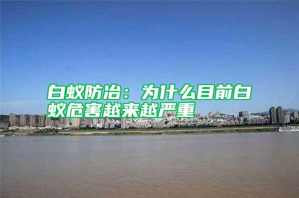 白蟻防冶：為什么目前白蟻危害越來(lái)越嚴(yán)重