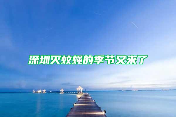 深圳滅蚊蠅的季節(jié)又來(lái)了