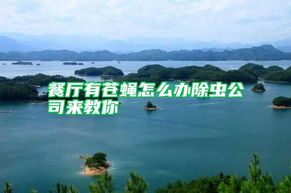 餐廳有蒼蠅怎么辦除蟲公司來(lái)教你